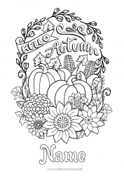 Free coloring Pumpkin Autumn Leaves Sunflower