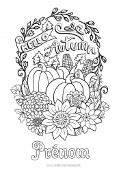 Coloriage gratuit Citrouille Automne Feuilles Tournesol