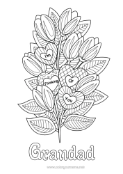 Free colouring Flowers Heart Tulip
