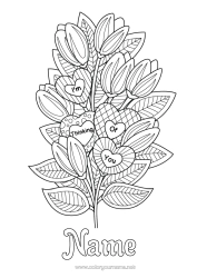 Free colouring Flowers Heart Tulip