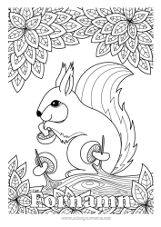 Färgläggningssida att anpassa Ekorre Höst Djur Blad Svamp Zentangle Skogens djur