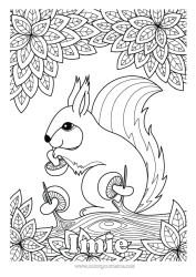 Kolorowanka za darmo Wiewiórka Jesień Zwierzę Liście Grzyb Zentangle Zwierzęta leśne