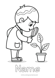 Colouring to customise Exploration Professions Scientist Science Magnifying Glass Green Plant