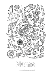 Free colouring Sea Animal Crab Shellfish Complex colouring pages Starfish Marine or aquatic animals