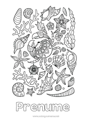 Pagină de colorat personalizată Mare Animal Crab Scoici Desene de colorat complexe Stea de mare Animale marine sau acvatice