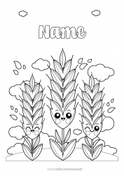 Free coloring Wheat