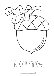 Free drawing Easy coloring pages Acorn Oak