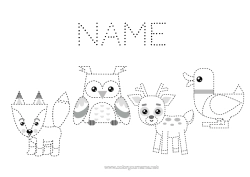 Colouring to customise Fox Owl, Tawny Owl Animal Trace And Colour. Duck Birds And Flying Mammals Forest Animals