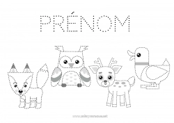 Coloriage gratuit Renard Chouette, Hibou Animal Trace et colorie Canard Oiseaux et mammifères volants Animaux de la forêt