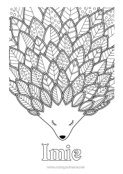 Kolorowanka do personalizacji Jeż Jesień Zwierzę Liście Złożone kolorowanki Zentangle Zwierzęta leśne