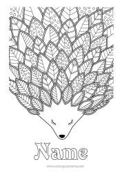 Free colouring Hedgehog Autumn Animal Leaves Complex colouring pages Zentangle Forest animals