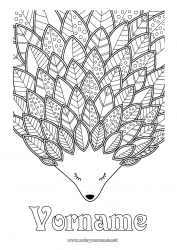 Kostenlose Malvorlage Igel Herbst Tier Blätter Komplexe Ausmalbilder Zentangle Waldtiere