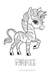 Free colouring Cute Zebra Animal Wild animals of Africa