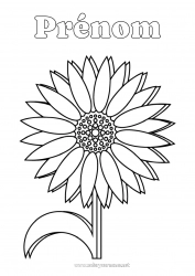 Coloriage à personnaliser Fleurs Tournesol Marguerite