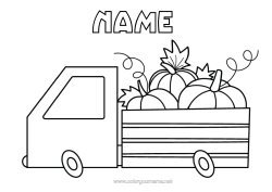 Free colouring Pumpkin Lorry Vehicles Farmer Trucks and commercial vehicles Farm jobs