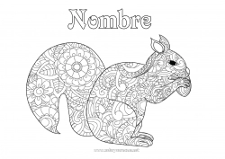 Colorear para personalizar Ardilla Zentangle Animales del bosque