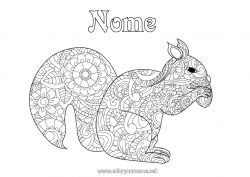 Disegno gratuito Scoiattolo Animale Zentangle Animali della foresta