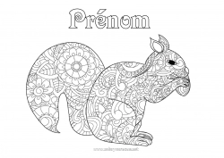 Dessin gratuit écureuil Animal Zentangle Animaux de la forêt