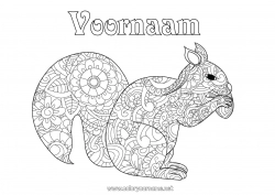 Gratis kleurplaat Eekhoorn Dier Zentangle Bosdieren