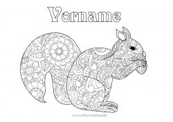 Kostenlose Malvorlage Eichhörnchen Tier Zentangle Waldtiere