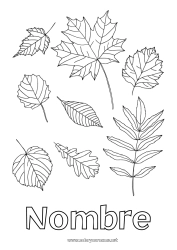 Colorear gratis Otoño Hojas Roble Arce