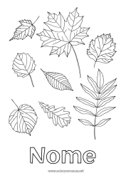 Colorazione gratuita Autunno Foglie Quercia Acero
