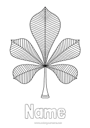 Free colouring Children's activities Leaves Tree