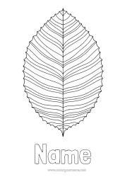 Free colouring Leaves