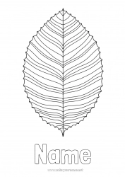 Free coloring Leaves