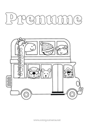 Pagină de colorat personalizată Girafă Leu Vehicule Pinguin, Pinguin de gheață Animal Autobuz, microbuz Păsări și mamifere zburătoare Animale sălbatice din Africa Transport public terestru Întoarcerea la școală