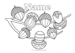 Free coloring Autumn Mushroom Acorn