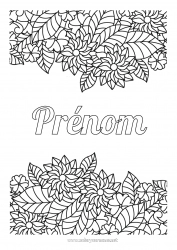 Dessin gratuit Fleurs Feuilles Coloriages complexes