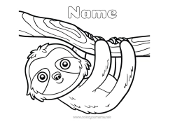 Free colouring Animal Forest animals Sloth