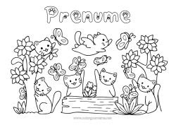 Desen liber de colorat Flori Pisică Animal Copac Câini și pisici