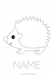 Free coloring Hedgehog Easy coloring pages Trace and color Forest animals