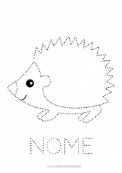 Desenho para personalizar Ouriço Animal Desenhos para colorir fáceis Rastreie e Pinte Animais da floresta