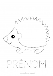 Coloriage gratuit Hérisson Animal Coloriages faciles Trace et colorie Animaux de la forêt
