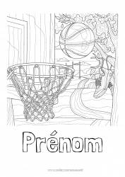 Coloriage gratuit Ballons Panier Basketball Coloriages complexes Zentangle Sports d'équipe