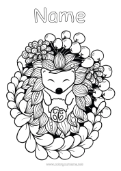 Colouring to customise Hedgehog Autumn Animal Forest Animals