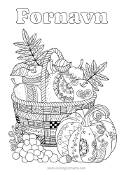 Farvelægningssiden tilpasning Græskar Efterår Kurv Frugter Zentangle Pære Drue Æble
