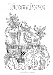 Dibujo libre Calabaza Otoño Cesta Frutas Zentangle Pera Uva Manzana