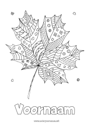 Gratis kleurplaat Herfst Bladeren Zentangle Esdoorn