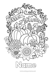 Free colouring Pumpkin Flowers Autumn Fruit Vegetables