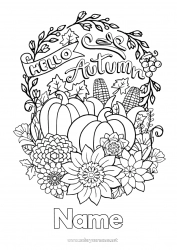 Free drawing Pumpkin Flowers Autumn Fruits Vegetables