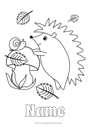 Colouring to customise Hedgehog Autumn Animal Leaves Mushroom Snail Forest Animals