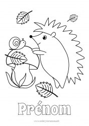 Coloriage à personnaliser Hérisson Automne Animal Feuilles Champignon Escargot Animaux de la forêt