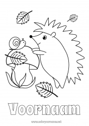 Gratis tekening Egel Herfst Dier Bladeren Paddestoel Slak Bosdieren