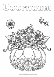 Gratis tekening Pompoen Bloemen Herfst Zentangle