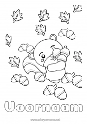 Gratis tekening Eekhoorn Herfst Dier Bladeren Bosdieren Eikel
