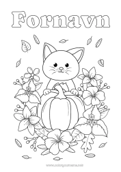 Gratis tegning Gresskar Blomster Katt Blader Hunder og katter